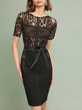 Anthropologie Beguile Byron Lars Carissima Sheath Dress